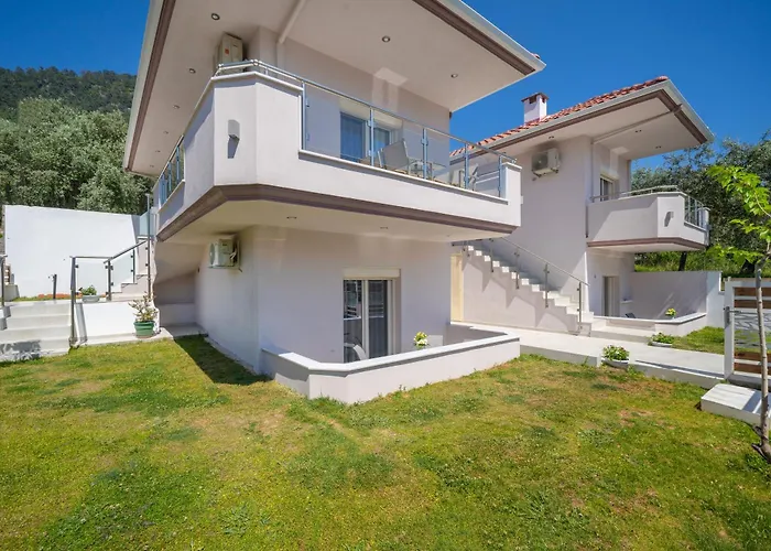 Stepi * Chrysi Ammoudia